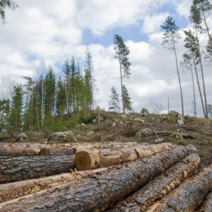 The First Step to Sustainable Agriculture Image